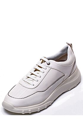Geox Спортивная обувь