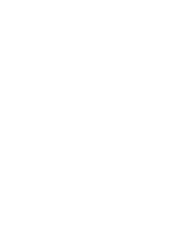 NS King Logo